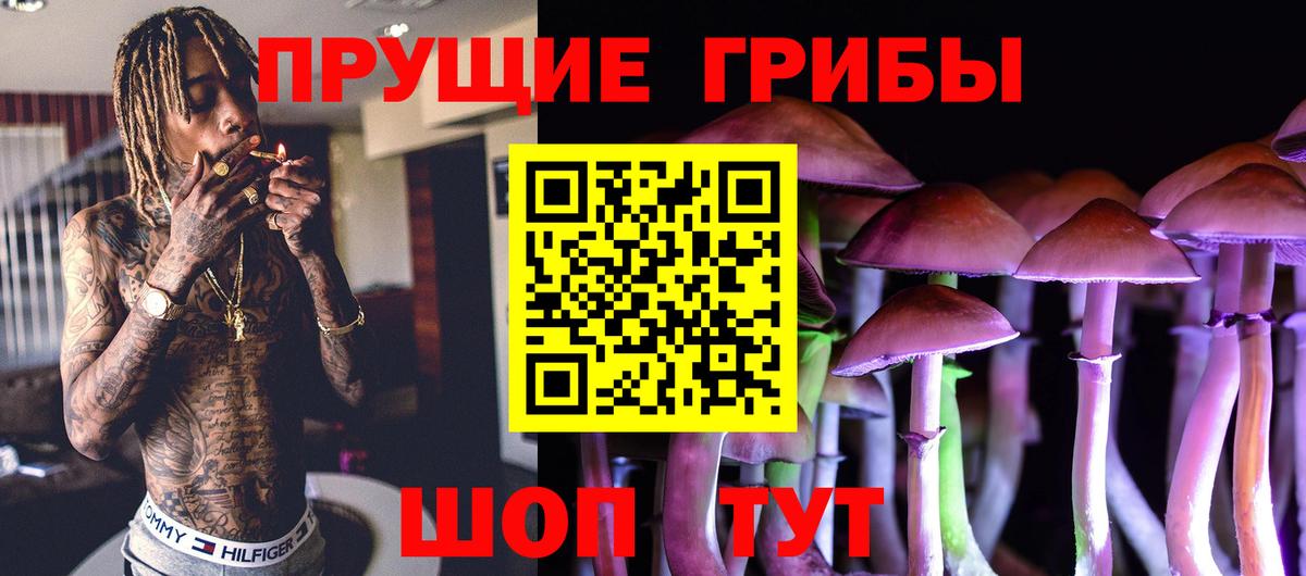 Можга  Псилоцибиновые грибы GOLDEN TEACHER  Вход с VPN 