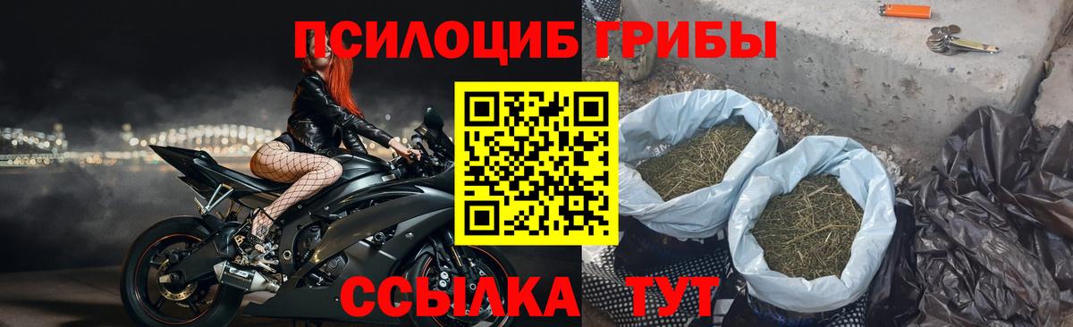 Галлюциногенные грибы мухоморы Можга