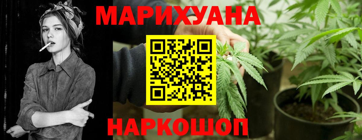 Шишки марихуана OG Kush Можга